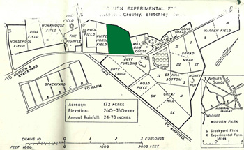 Lansome Field shown in green